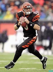 Carson Palmer