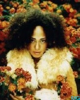 Cree Summer