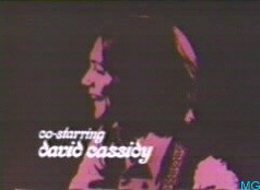 David Cassidy