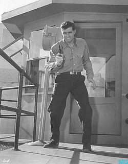 John Gavin