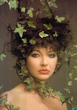 Kate Bush