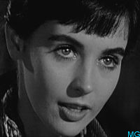 Millie Perkins