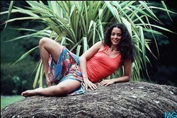 Sonia Braga