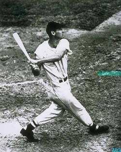 Ted Williams