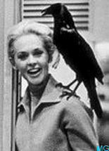 Tippi Hedren