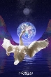 The World