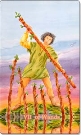 7 of Wands