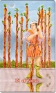 9 of Wands