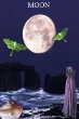 The Moon