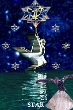 The Star