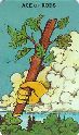 Ace of Wands