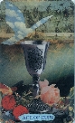 Ace of Cups