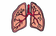 Respiratory Remedies
