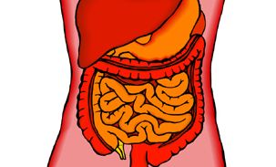 Stomach and Intestinal Remedies