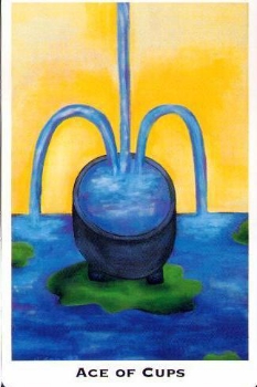 acecups.jpg