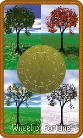 The Wheel of Fortune