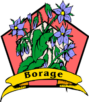 Borage Oil