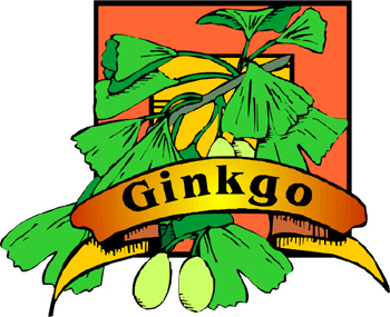 Ginkgo biloba