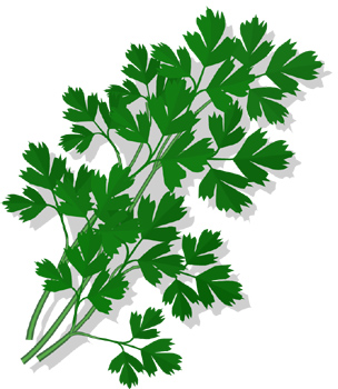 Parsley