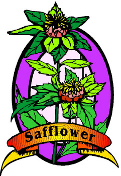 Safflower