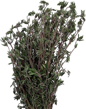 Thyme