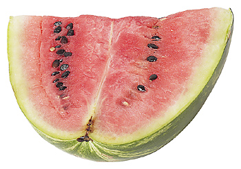 Watermelon seeds