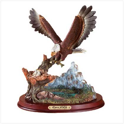 EAGLE FEEDING TIME