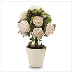 WHITE ROSE TOPIARY