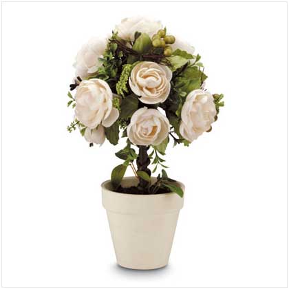 WHITE ROSE TOPIARY