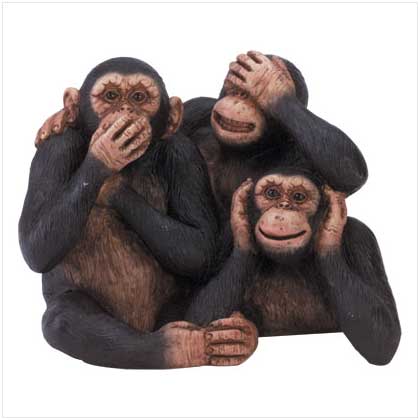 PLAYFUL INNOCENT MONKEYS