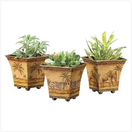 SAFARI POTS