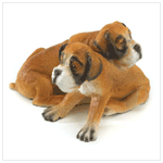 ALABASTRITE BOXERS PUPPY