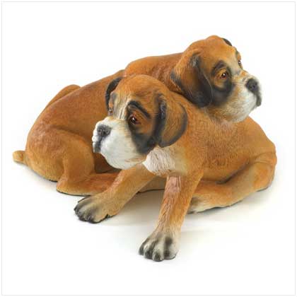 ALABASTRITE BOXERS PUPPY