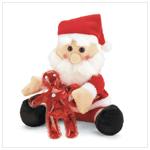 SANTA PLUSH WITH BATH GEL