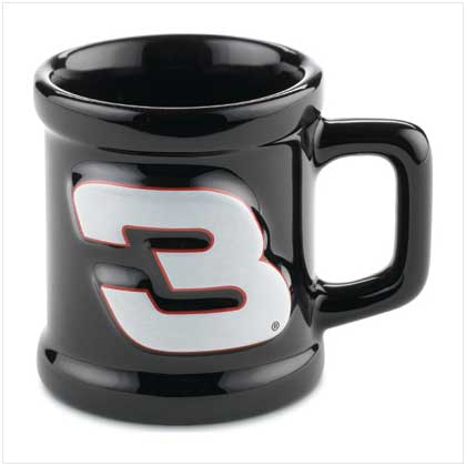 DALE EARNHARDT SR MUG SHOT