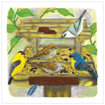 BACKYARD BIRDFEEDER PLAQUE