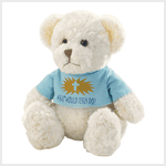 WHAT WOULD JESUS DO BEAR